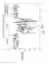 Fig. 12 - Target based smoke detection system