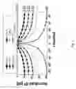 Fig. 08 - Electrically small, source direction resolving antennas