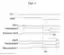 Fig. 04 - LIQUID CRYSTAL DISPLAY AND INVERSION DRIVING METHOD