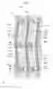 Fig. 08 - DISPLAY SUBSTRATE, DISPLAY PANEL AND DISPLAY DEVICE