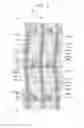 Fig. 09 - DISPLAY SUBSTRATE, DISPLAY PANEL AND DISPLAY DEVICE