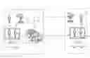 Fig. 01 - Videoconferencing communication device and method