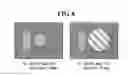 Fig. 09 - Electronic device generating stereo sound synchronized with stereographic moving picture