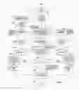 Fig. 07 - Camera user content synchronization with central web-based records and information sharing system