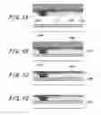 Fig. 05 - Image display device and manufacturing method of the same