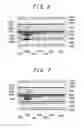 Fig. 06 - Image display device and manufacturing method of the same