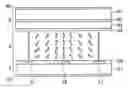 Fig. 01 - LIQUID CRYSTAL DISPLAY DEVICE