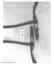 Fig. 06 - Novelty Shades