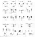 Fig. 07 - Novelty Shades
