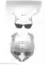 Fig. 08 - Novelty Shades