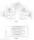 Fig. 04 - Method and system for treating binocular anomalies