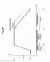 Fig. 22 - Pressure application apparatus and pressure application method