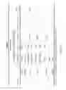 Fig. 18 - Thin optical lens assembly