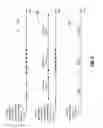 Fig. 06 - RF transceiver system with adjustable transmission parameters and methods for use therewith