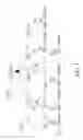 Fig. 02 - SCALABLE VIDEO MULTICAST METHOD IN WiMAX NETWORKS
