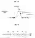 Fig. 45 - Digital broadcast system for transmitting/receiving digital broadcast data, and data processing method for use in the same
