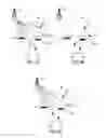 Fig. 07 - Method for enabling collaboration among terminals in a wireless network