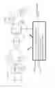 Fig. 04 - Wired and wireless 4G and 3G cellular, mobile and RFID systems