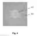 Fig. 07 - Intra-cavity frequency doubled microchip laser operating in TEMtransverse mode