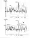 Fig. 05 - Confirmation of presence of narrowband interference by harmonic analysis