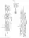 Fig. 03 - Dynamic time synchronization