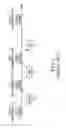 Fig. 02 - Apparatus and method for mapping symbols to resources in a mobile communication system