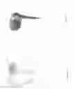 Fig. 02 - Earpiece system