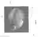 Fig. 11 - Earpiece system
