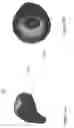 Fig. 15 - Earpiece system