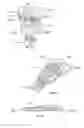 Fig. 06 - Ergonomic system for compact winding and storage of earphone set/headphones used with digital media devices
