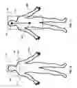 Fig. 12 - Human tracking system