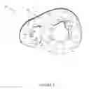 Fig. 05 - Simulation of medical imaging