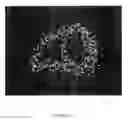 Fig. 13 - Simulation of medical imaging