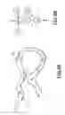 Fig. 09 - Method for determining an estimation of a topological support of a tubular structure and use thereof in virtual endoscopy
