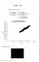 Fig. 28 - DEFECT INSPECTION METHOD AND APPARATUS