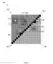 Fig. 05 - Component filtering for low-light noise reduction