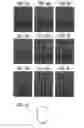 Fig. 08 - Image processing system, image processing apparatus and computer readable medium