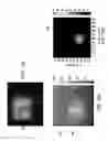 Fig. 09 - Methods and systems of optical imaging for target detection in a scattering medium