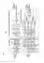 Fig. 03 - Differential code optical transmission and reception device