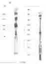 Fig. 27 - Click pen applicator device and method of using same