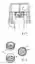 Fig. 05 - PIN-SHAPED DEVICE FOR APPLYING A LIQUID