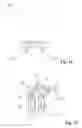 Fig. 14 - CLIP