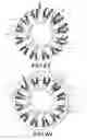 Fig. 09 - Electric motor having segmented stator windings