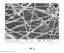 Fig. 05 - Nanowire preparation methods, compositions, and articles
