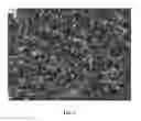 Fig. 06 - Nanowire preparation methods, compositions, and articles