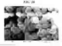 Fig. 10 - Molecularly imprinted polymer for detecting the pentraxin, and method for preparing same