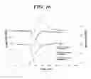 Fig. 16 - Molecularly imprinted polymer for detecting the pentraxin, and method for preparing same