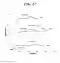Fig. 17 - Molecularly imprinted polymer for detecting the pentraxin, and method for preparing same