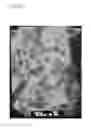 Fig. 08 - Treating catalysts