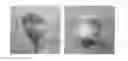 Fig. 01 - Method for producing fluorapatite and its application